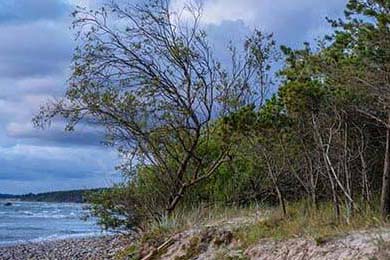 虚拟币汇总(虚拟币cib)