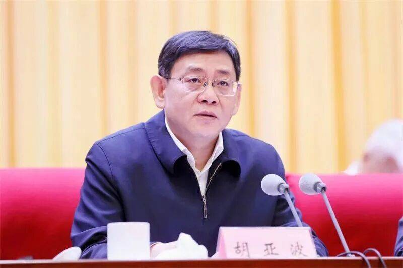 胡亚波任湖北省副省长