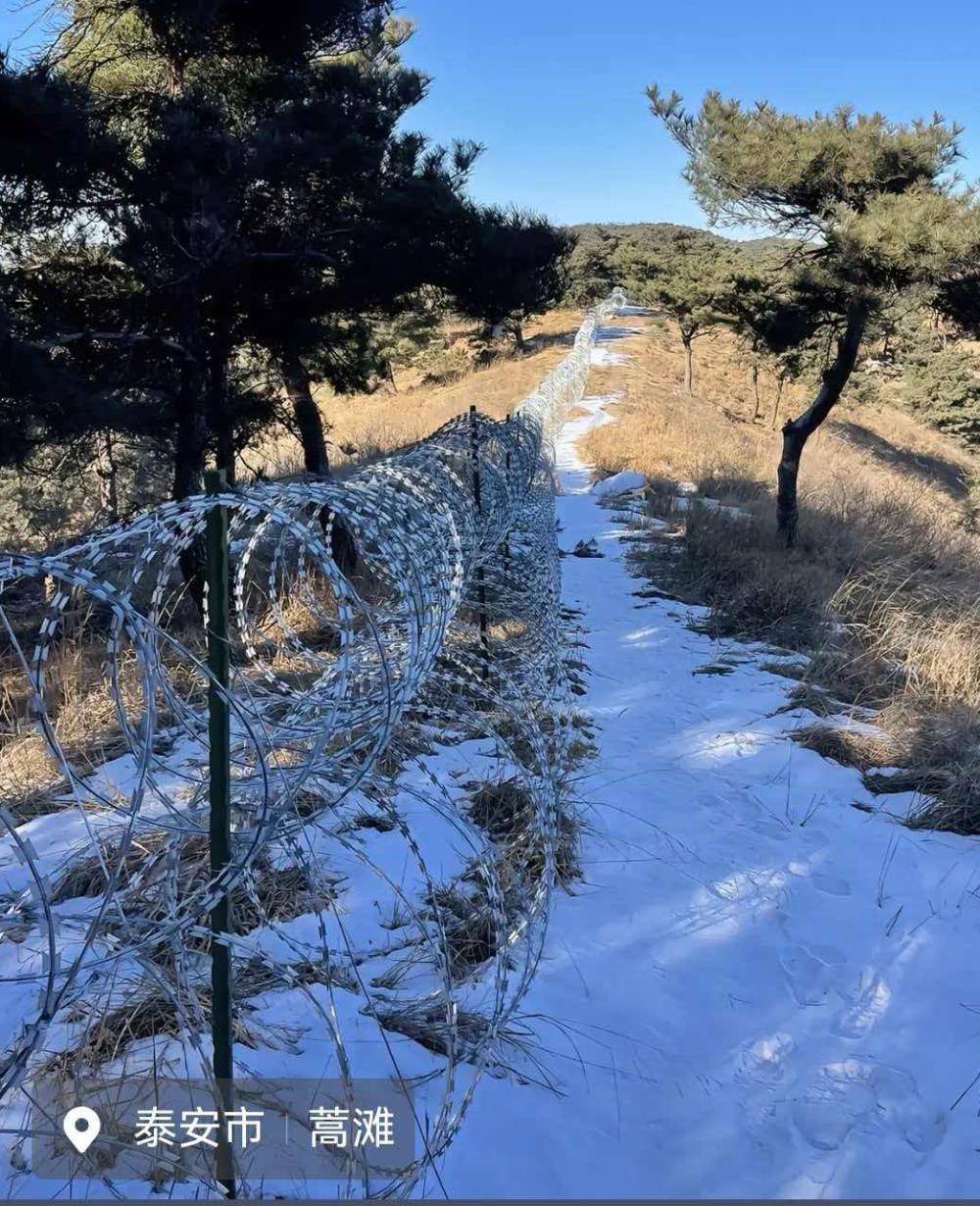 泰山周围建起135公里刀片刺绳铁丝网，“天下第一山”何至于被如此“圈禁”