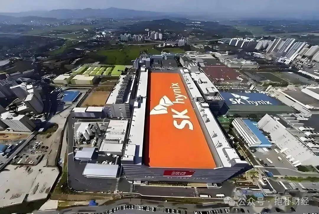 这里的股市是赌场，这里的股民是赌徒