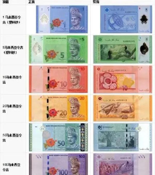 马来西亚虚拟币(马来西亚虚拟币叫什么名字)