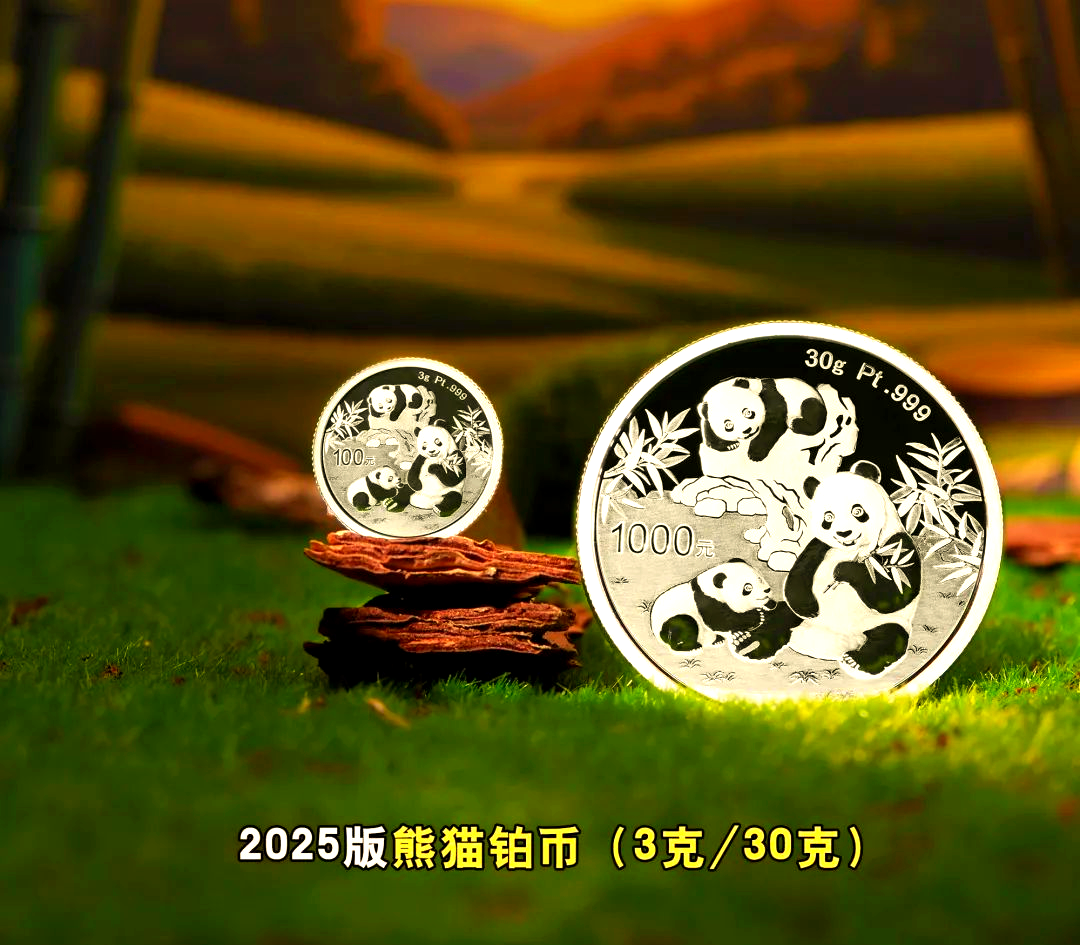 虚拟熊猫币(虚拟熊猫币交易)