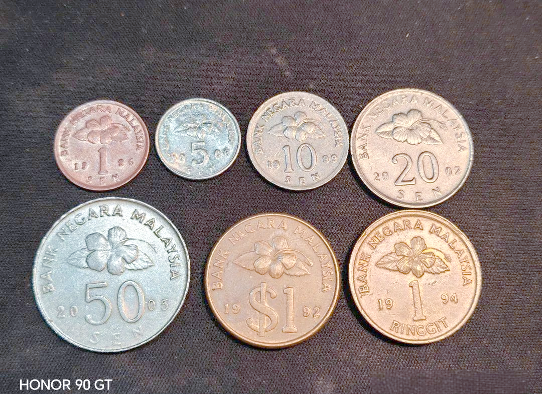 马来西亚虚拟币(马来西亚虚拟币合法吗?)